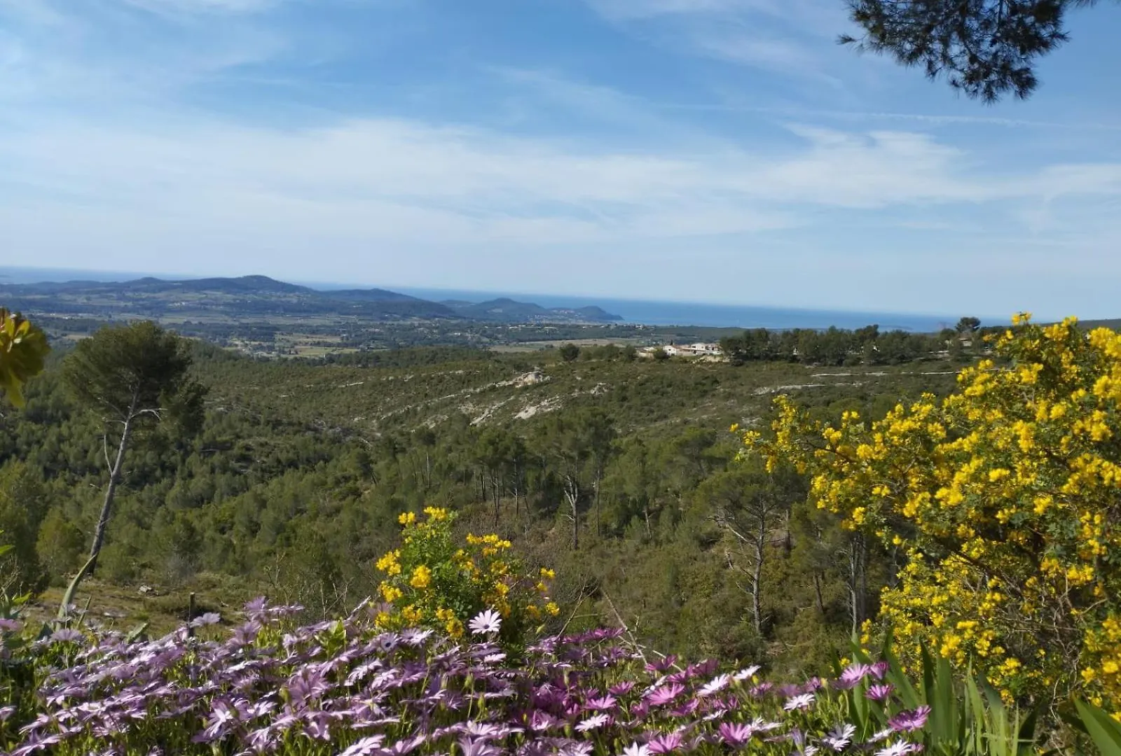 A L'Ombre Des Pins Du Castellet Villa Le Castellet  France