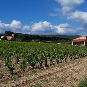 Au Milieu Des Vignes Hébergement de vacances
